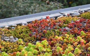 the cost of Burndell green roof installation