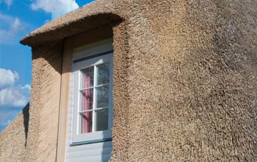 Burndell thatch roof disadvantages